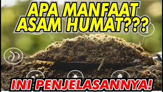 Download lagu Apa Manfaat Asam Humat?? mp3
