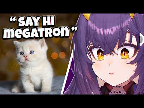 Ranking My Viewers Pets