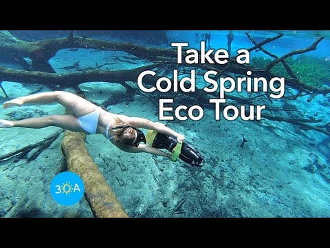 Natural Cold Springs at Cypress Springs in Florida