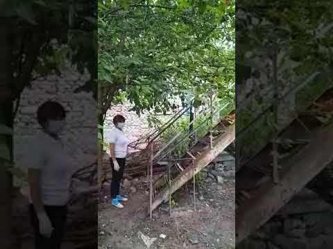 Video of Our Outreach in Georgia