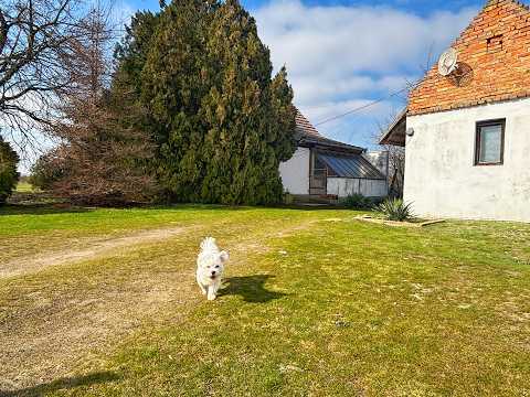 Eladó tanya, Szatymaz 3 szoba 87 m² 27 M Ft