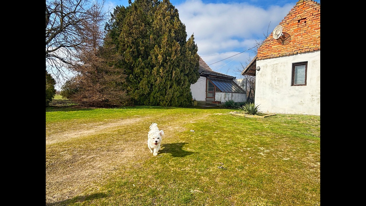 Eladó tanya, Szatymaz 3 szoba 87 m² 27 M Ft