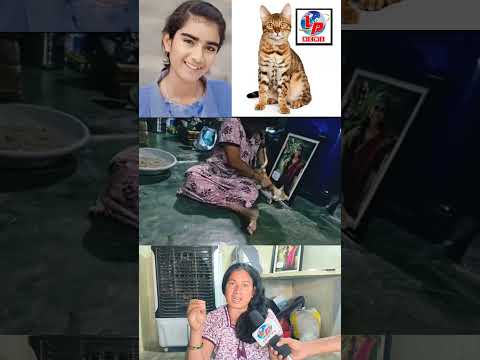 వైష్ణవి కోసం వచ్చిన పిల్లిని చూసి వైష్ణవి తల్లినీ చూడండి..! #JusticeforVaishnavi #Cat #Vaishucatlove