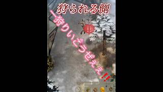 狩られる側#ほの暮らしの庭#ゲーム実況