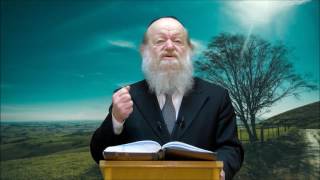 הרב יוסף בן פורת - התורה קדמה לעולם HD