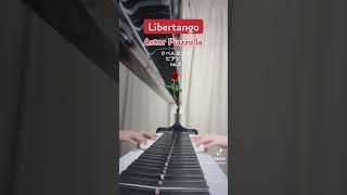 Download lagu Libertango - Astor Piazzolla 🐰 リベルタンゴ - ピアソラ no.2 mp3 Download lagu Libertango - Astor Piazzolla 🐰 リベルタンゴ - ピアソラ no.2 mp3