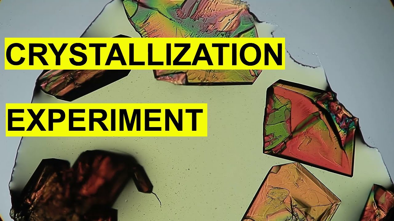 Crystallization Process Experiment // Time Lapse