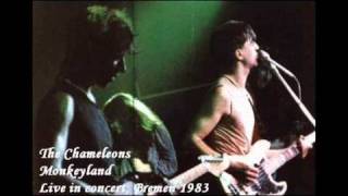The CHAMELEONS ~ Monkeyland (Live in Bremen - 1983)