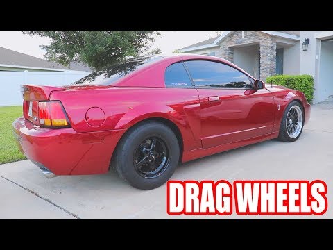 John Reacts to 700RWHP Corn Fed Cobra * SPEECHLESS