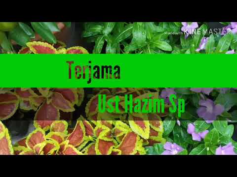 Bayan Maulana Saad Terjama oleh ust hazim