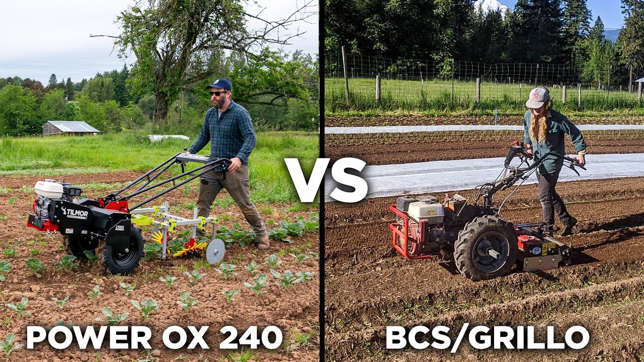Power Ox VS BCS/Grillo - Adding A Walk Behind Tractor To Your Farm