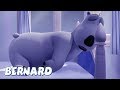 Bernard Bear Sleepwalker AND MORE 30 Min Compilation Cartoons For Children