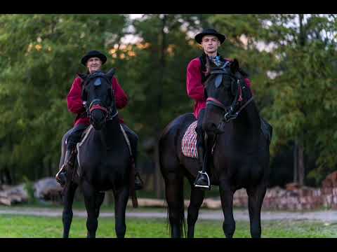 Slováci žijúci v Srbsku-(Koník beží po nábreží)