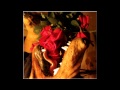 Matmos - The Rose Has Teeth In The Mouth Of ...