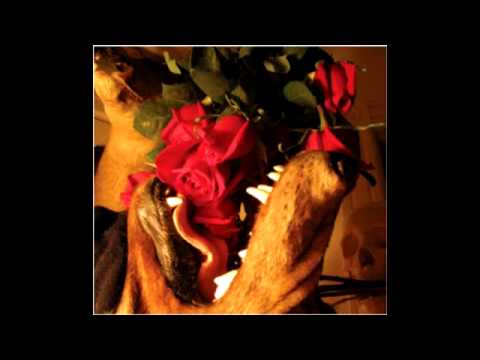Matmos - The Rose Has Teeth In The Mouth Of The Beast (Full Album)