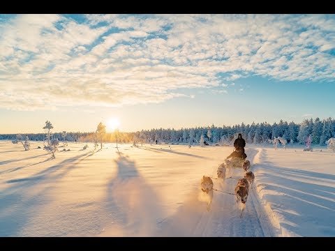The Lapland Trip 2019 - Official Aftermovie