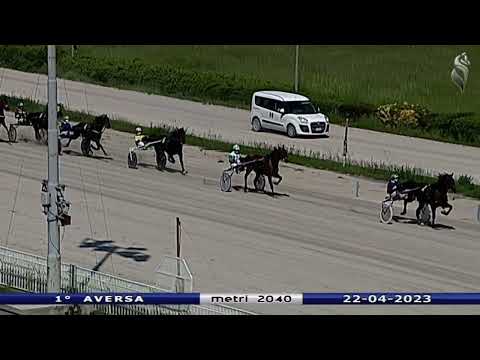 Aversa trotto 22 Aprile 2023 - 1° Corsa