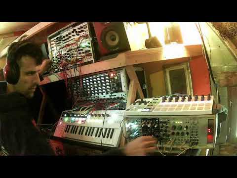 Logic L.F.O aLive Act - L.G.C 135 - Eurorack Modular - Electric Techno Improvisation