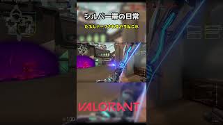 シルバー帯の日常#7 #Shorts