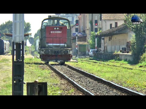 LDH1360 841006-5 & Mini Marfar CFR MARFĂ Mini Freight Train in Gara Satu Mare Station - 10 July 2020