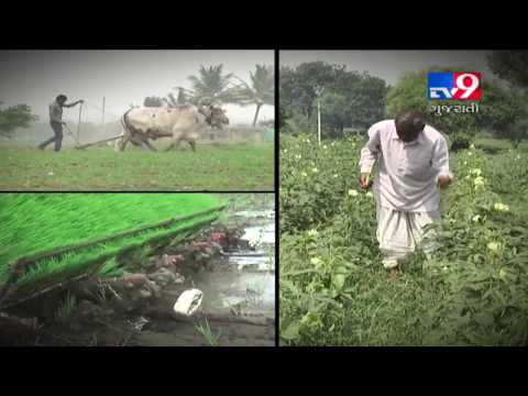 What is a Kisan Credit Card? How It works ? | Tv9GujaratiNews