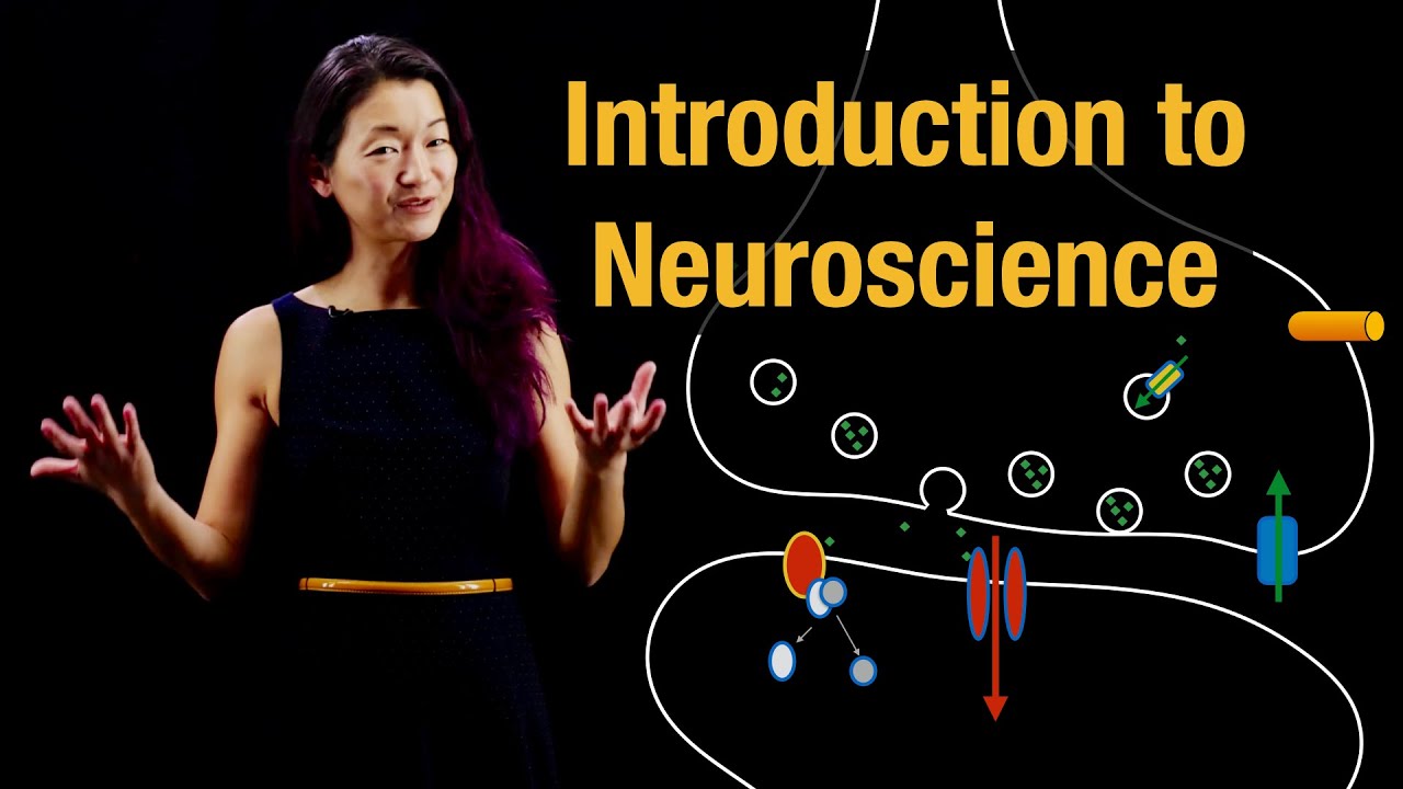 Intro to Neuroscience, Overview and goals
