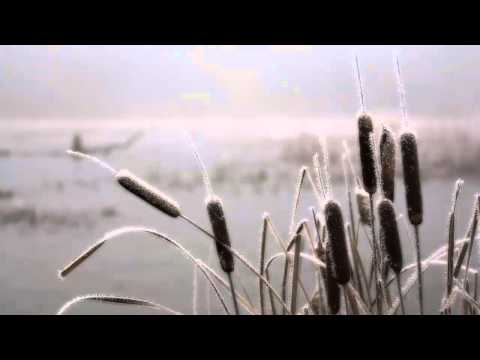 OST Glass Shoes - To Watch and Protect You - Lee Jong Won (너를 지켜 줄꺼야 - 이종원)