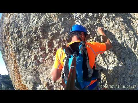 punsola reniu al cavall bernat