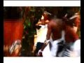 Chameleone Kipepeo