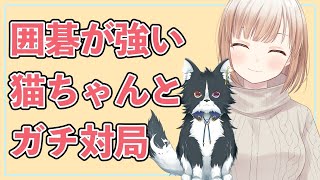 【囲碁Vtuber】元院生　VS　高段者　30秒早碁対局コラボ！