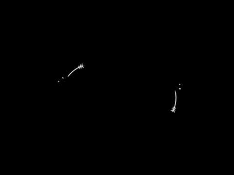 Nasty c's fan drop,Cypher (name: Ferary [S.A] Cypher 2019