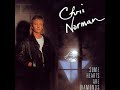 Chris Norman Hunters Of The Night Dj Dance Remix