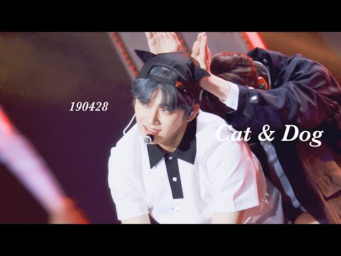 4K 190428 광주 슈퍼콘 Cat & Dog - 투모로우바이투게더 연준 직캠 TXT YEONJUN focus