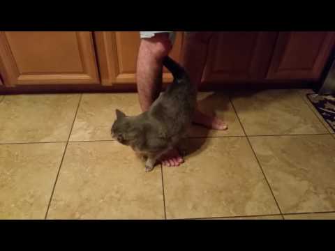 Pima Loves Hairy Legs