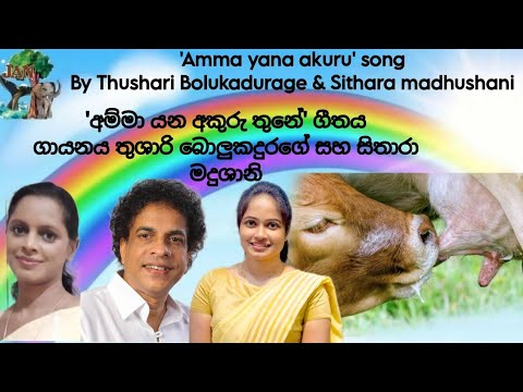 75 Song 'Amma yana akuru' - Thushari Bolukandurage | අම්මා යන අකුරු ගීතය - තුෂාරි බොළුකඳුරගේ