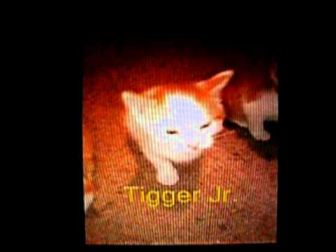 Nengo Flow & Randy Glock - Tiraera a EL Gallo #2 of 4