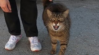 Re: [抒發] 各位會想買房子嗎？