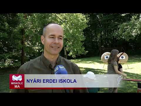 Videó előnézet