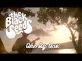 The Black Seeds One By One Official Music Video