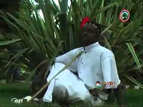 Addunya Galalcha  Birrii bisii Oromo Music]