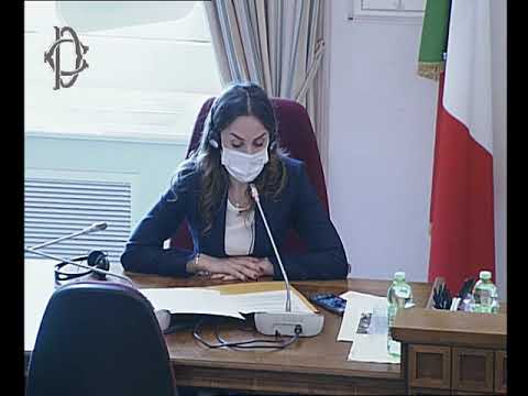 Audizione Volodina, deputata Ucraina - martedì 5 aprile 2022