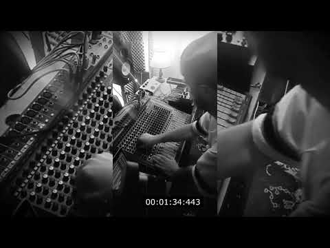 Egoless ft. Tenor Youthman " Non-Immigrant Song " /// Free Mind Live Dub Mix