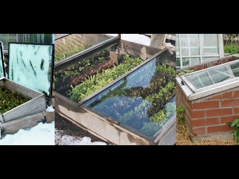 , title : '[ENG] Cold frames how to outsmart Grandfather Frost and have vegetables all year Winter cultivation'