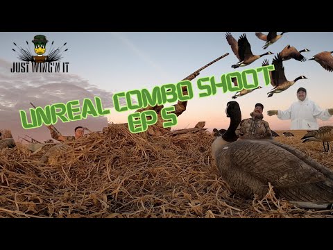 Unbelievable Waterfowl Hunting by the Lakeside in a Barley Field with Jaw-Dropping Results!