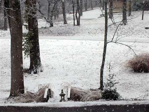 February 2 Weather Xtreme Video - Afternoon Edition