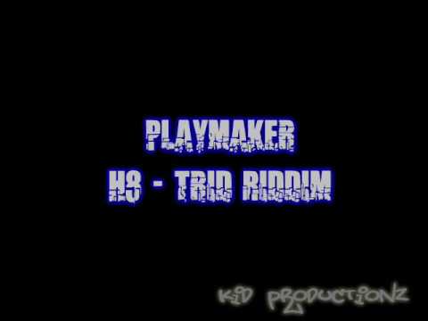 Playmaker - H8trid riddim