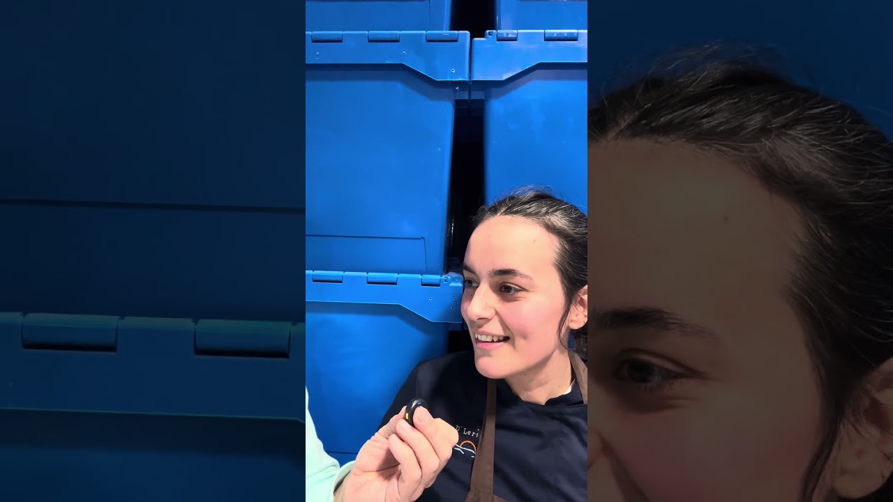 ALBA AGUIAR - Chef D´LERIA