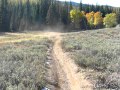Cle Elum Meadow