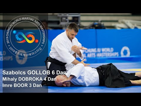 Demonstration of Experts in Aikido - Szabolcs Gollob at World Martial Arts Masterships in Korea