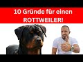 Die 10 Wichtigsten Gründe Für Einen Rottweiler